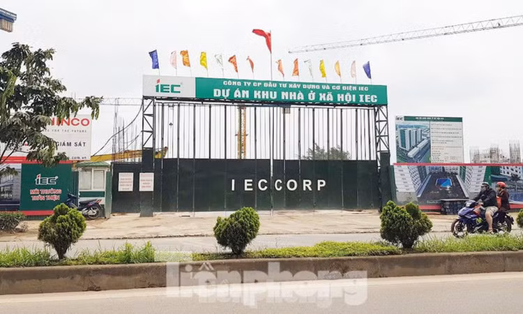 Thứ trưởng Bộ Xây dựng lên tiếng việc 'đút tiền' bốc thăm mua NƠXH - ảnh 2