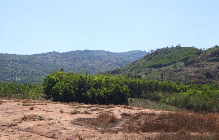 Chuyên gia ‘mổ xẻ’ việc cả nước còn gần 3 triệu ha rừng 'chưa có chủ'