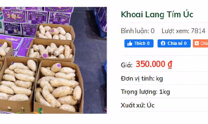 Khuyến mãi sâu, khoai lang tím Úc vẫn có giá 100.000 đồng/kg - Ảnh 1.