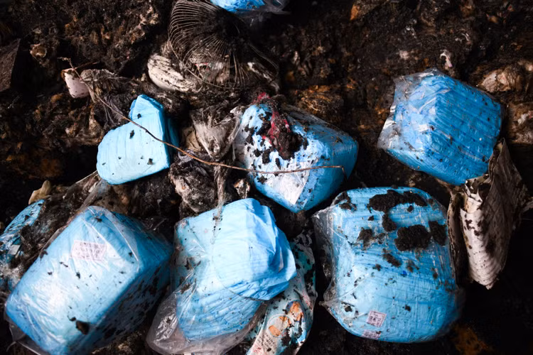 Chay nha tren pho Ton Duc Thang, 311 Ton Duc Thang anh 8