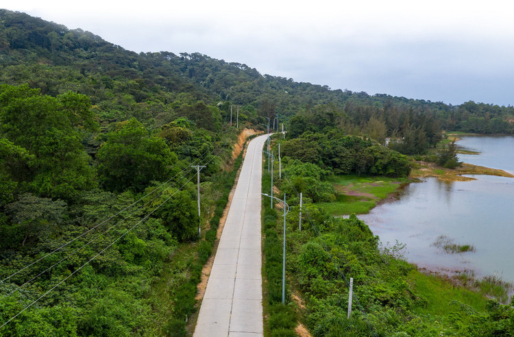 Tầm nhìn từ việc đưa điện lưới ra đảo đầu tiên ở Việt Nam ảnh 18
