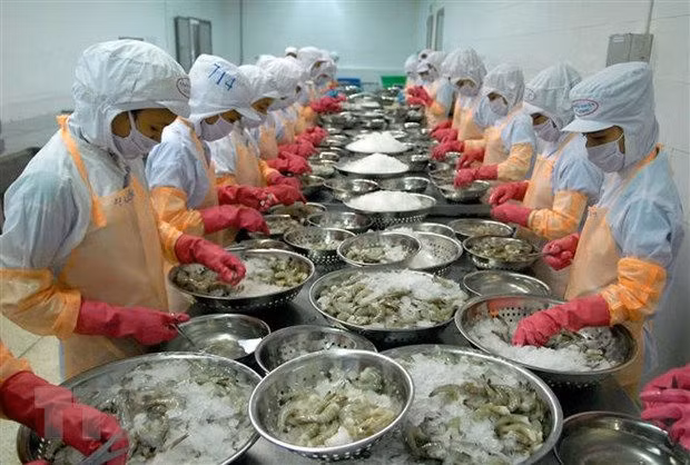 Ung dung cong nghe so trong ket noi cung cau san pham nong nghiep hinh anh 2