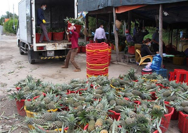 Ung dung cong nghe so trong ket noi cung cau san pham nong nghiep hinh anh 1