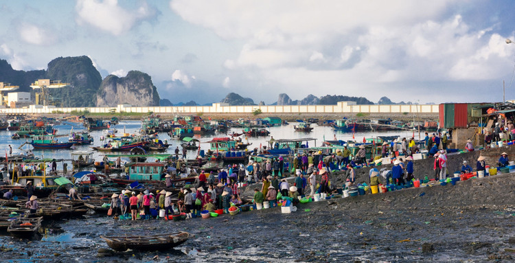 Dong cua tam thoi cho ca Ben Do anh 1