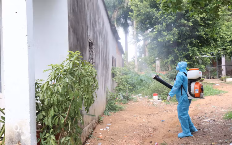 truy vet F2 o Binh Phuoc anh 1