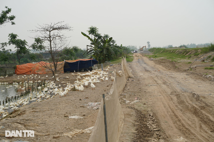 Toàn cảnh tuyến đường hơn 7.500 tỷ đồng kết nối 4 quận, huyện ở Hà Nội - 16