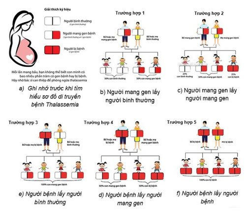 Nguy cơ sinh con mang bệnh ở người mang gene tan máu bẩm sinh.