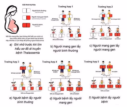 Nguy cơ sinh con mang bệnh ở người mang gene tan máu bẩm sinh.