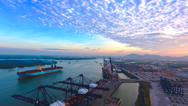 5 thuyền viên trên tàu chở hàng Indonesia dương tính SARS-CoV-2 - 1