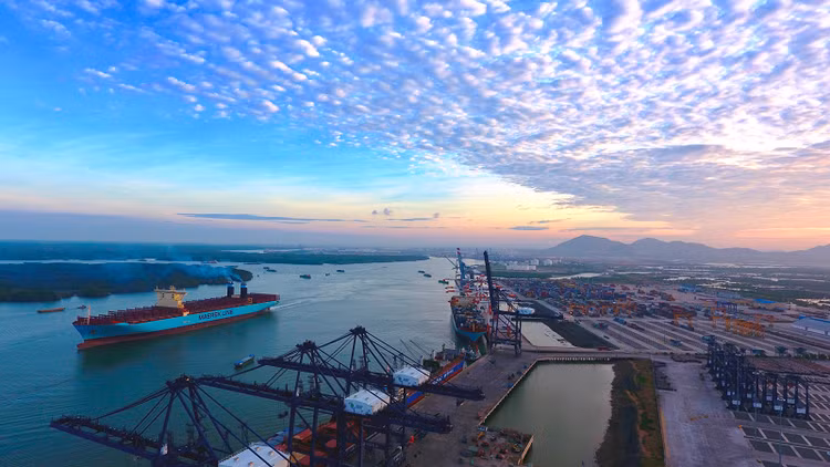 5 thuyền viên trên tàu chở hàng Indonesia dương tính SARS-CoV-2 - 1