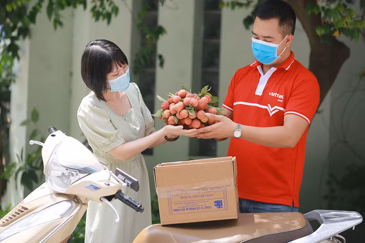 Chưa từng có: 4,6 triệu người truy cập, ngày chốt 37.000 đơn vải thiều