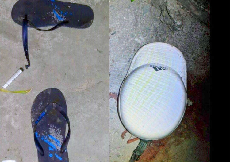 truy tim nghi pham dam chet nguoi anh 2