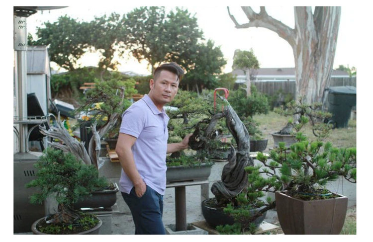 Nhà Bằng Kiều tại Mỹ bị trộm đột nhập khoắng cây cảnh siêu đắt đỏ - 2