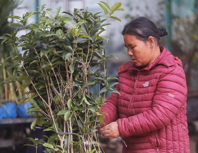 Hà Nội: Người dân nườm nượp mua sắm Tết sớm tại chợ hoa Vạn Phúc - Ảnh 17.