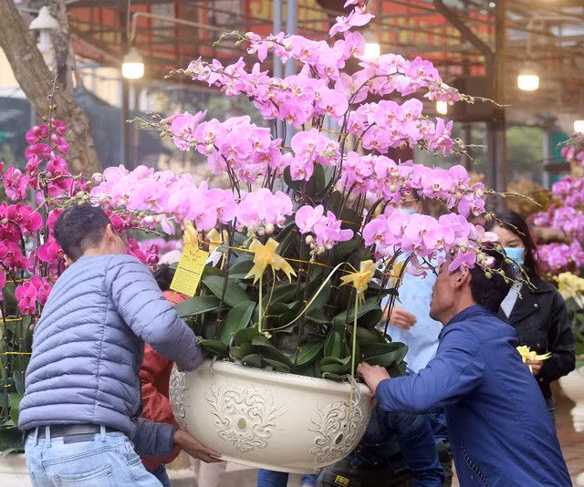 Hà Nội: Người dân nườm nượp mua sắm Tết sớm tại chợ hoa Vạn Phúc - Ảnh 10.