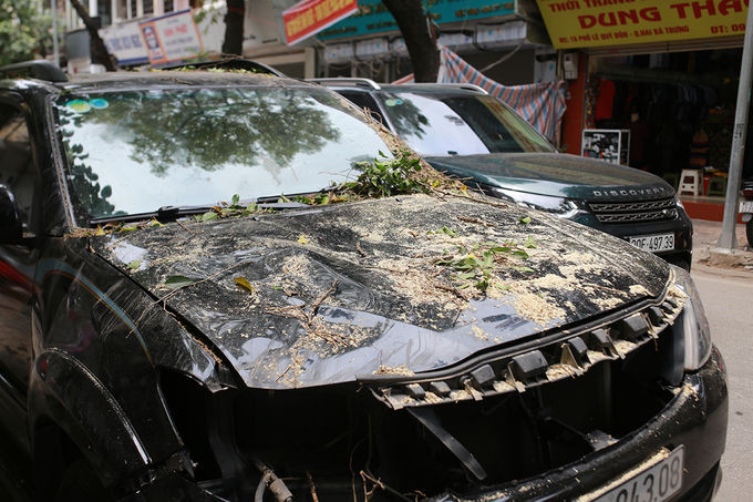 Chiếc ô tô bị cây đè. Ảnh: Tất Định.