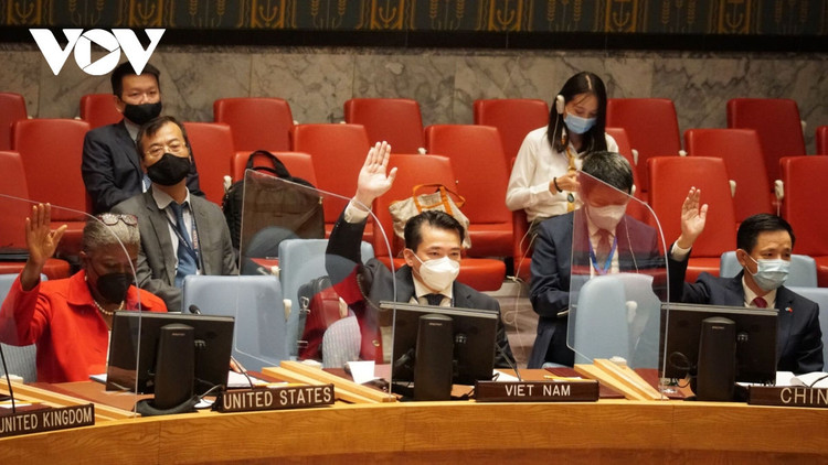 Hội đồng Bảo an Liên Hợp quốc thông qua 2 nghị quyết về Afghanistan và Iraq ảnh 1