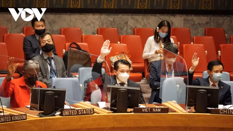 Hội đồng Bảo an Liên Hợp quốc thông qua 2 nghị quyết về Afghanistan và Iraq ảnh 1