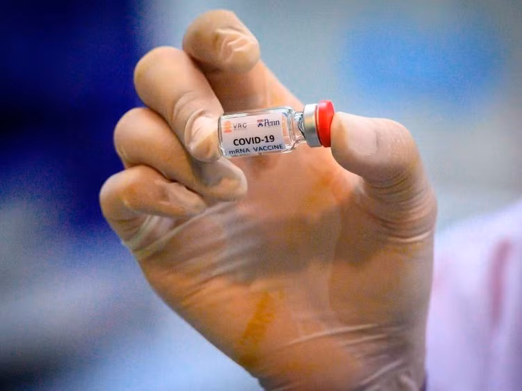 Nhung loai vaccine Covid-19 co the chong lai bien chung nCoV moi hinh anh