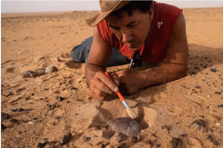 kho tang hoa thach khung long o Sahara anh 4