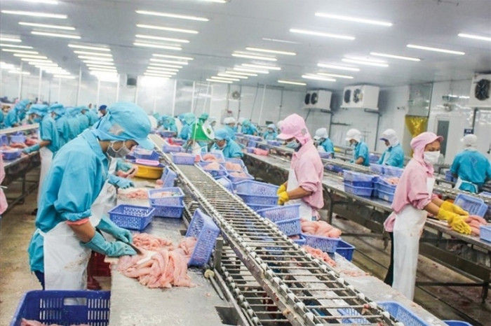 vasep: dự thảo nghị định hướng dẫn luật bvmt chưa thực tế, thêm gánh nặng?