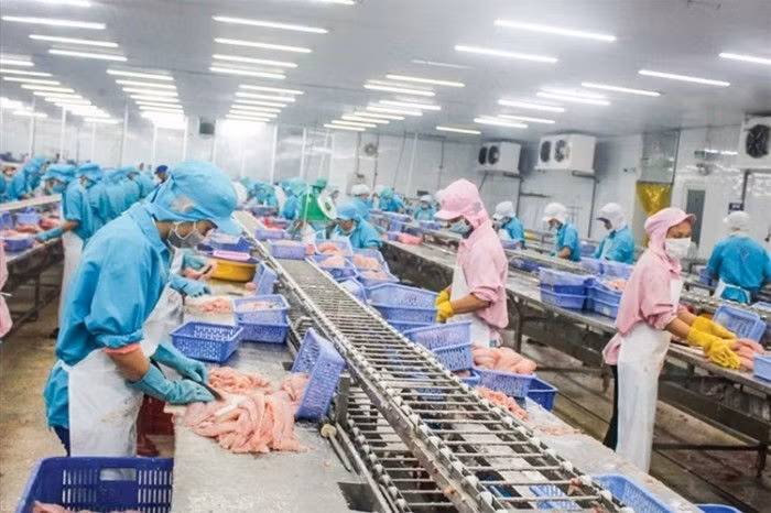 vasep: dự thảo nghị định hướng dẫn luật bvmt chưa thực tế, thêm gánh nặng?