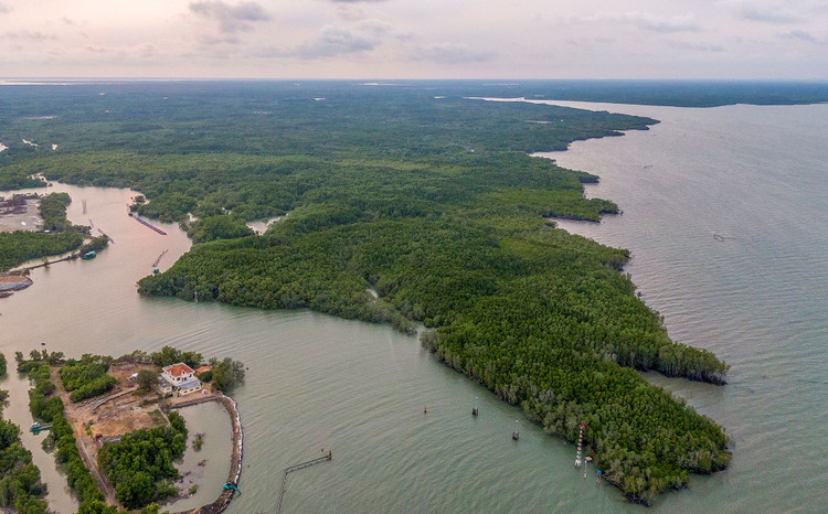 Ha tang huyen Can Gio anh 12