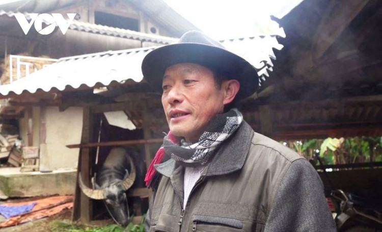 Vùng cao Yên Bái ứng phó rét đậm, rét hại ảnh 6