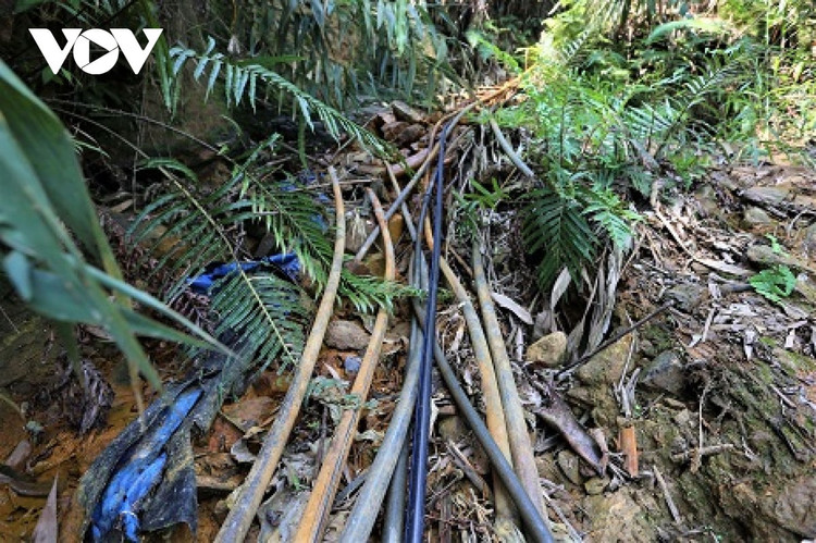 “Vàng tặc” lộng hành ở mỏ vàng Bồng Miêu, Quảng Nam ảnh 3