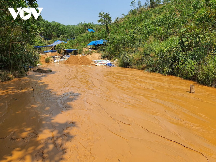 “Vàng tặc” lộng hành ở mỏ vàng Bồng Miêu, Quảng Nam ảnh 7