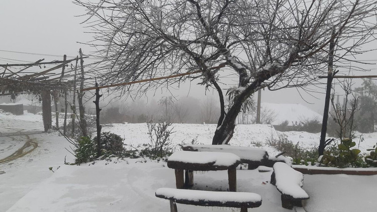 Y Tý trắng tuyết ảnh 2