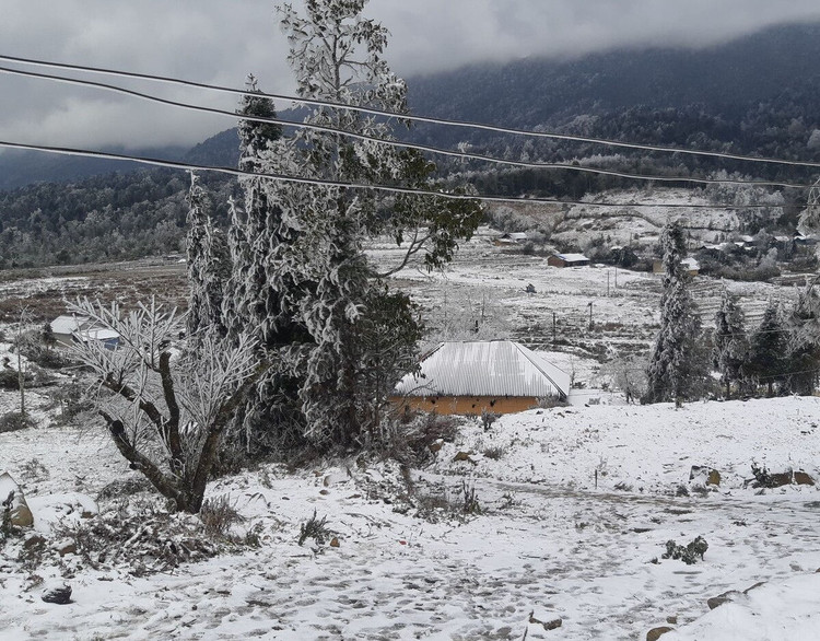 Y Tý trắng tuyết ảnh 4