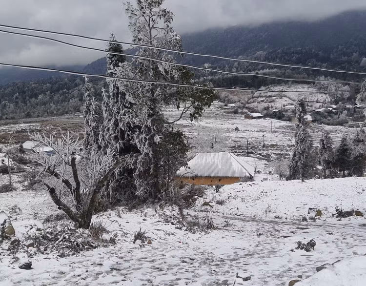 Y Tý trắng tuyết ảnh 4 Y Tý trắng tuyết ảnh 4