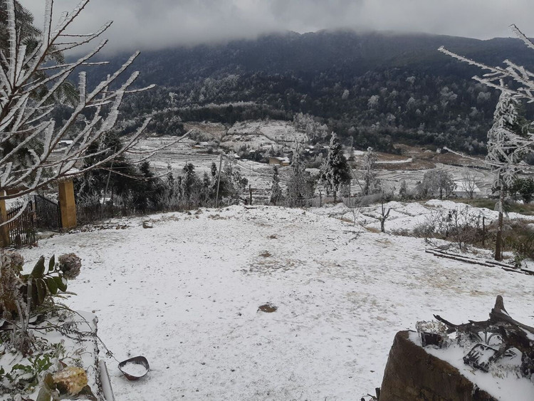 Y Tý trắng tuyết ảnh 1