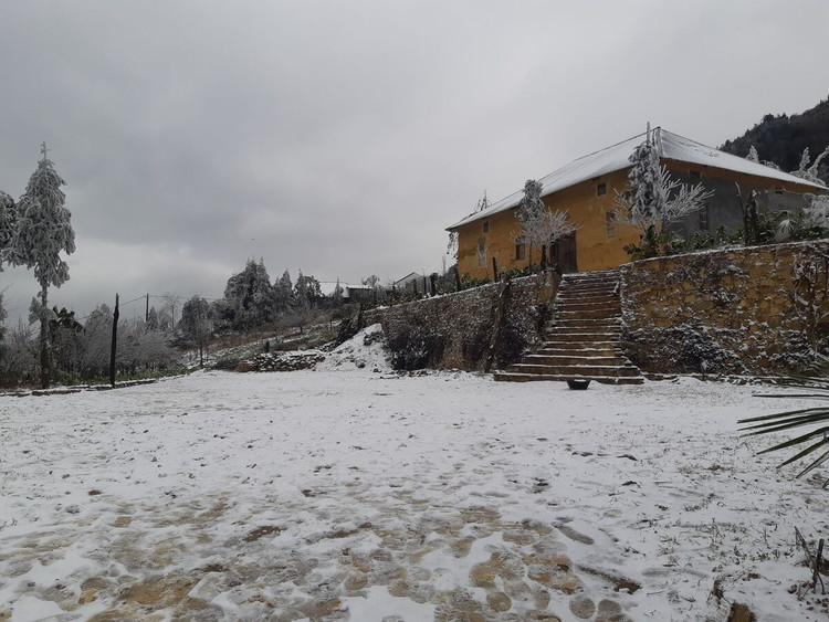 Y Tý trắng tuyết ảnh 9