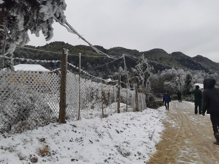 Y Tý trắng tuyết ảnh 5