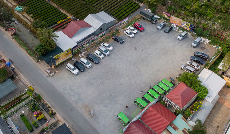 Lang hoa Sa Dec vang ve anh 8