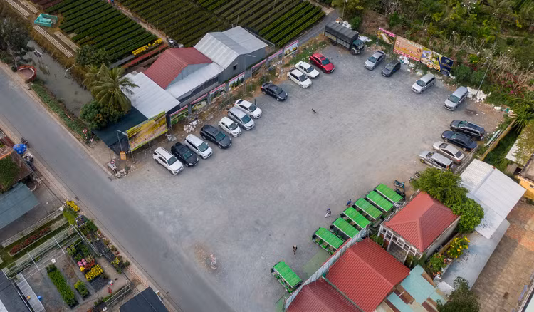 Lang hoa Sa Dec vang ve anh 8