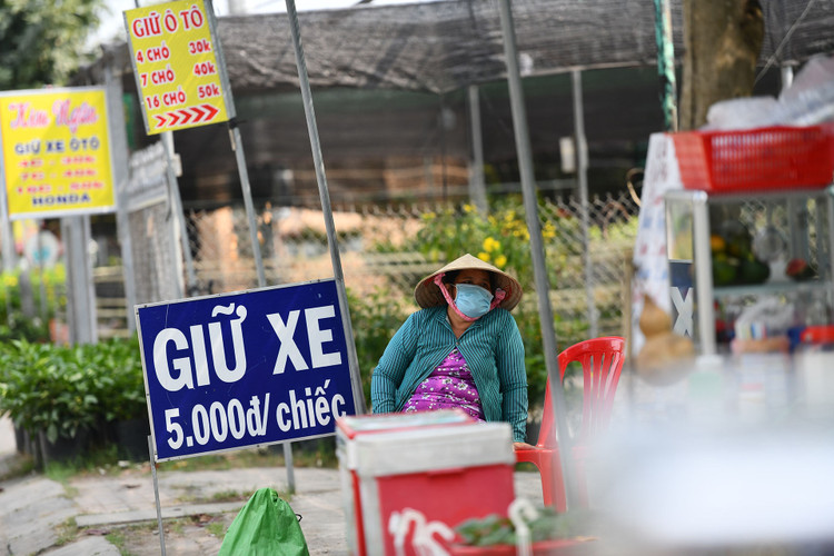 Lang hoa Sa Dec vang ve anh 12