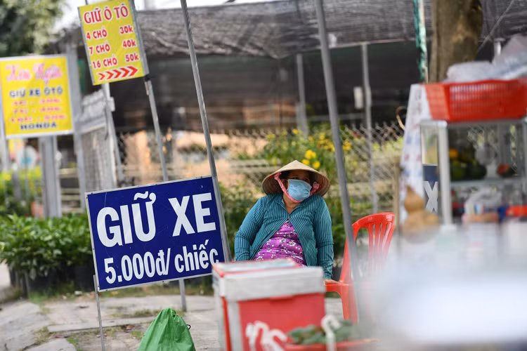 Lang hoa Sa Dec vang ve anh 12