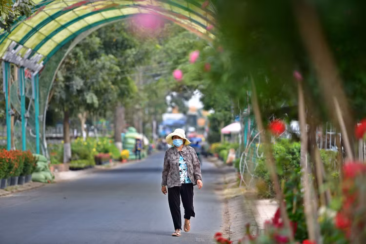 Lang hoa Sa Dec vang ve anh 7