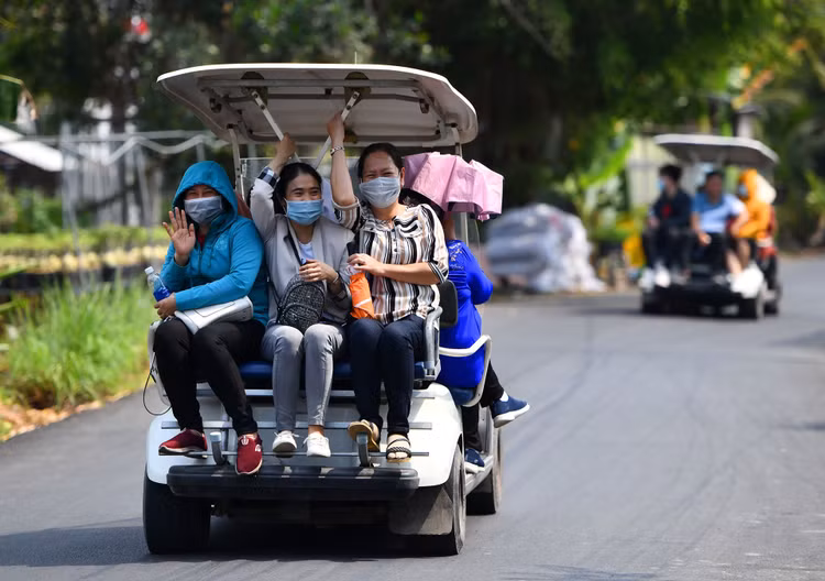 Lang hoa Sa Dec vang ve anh 4
