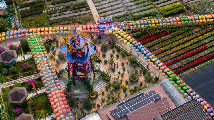 Lang hoa Sa Dec vang ve anh 3