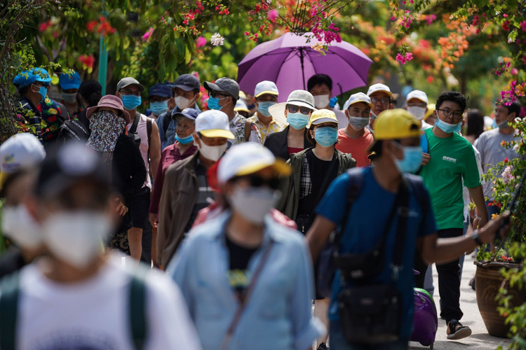 canh chen lan giua mua dich dip 30/4 anh 21