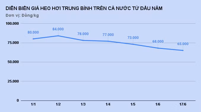 gia heo hoi giam manh anh 1