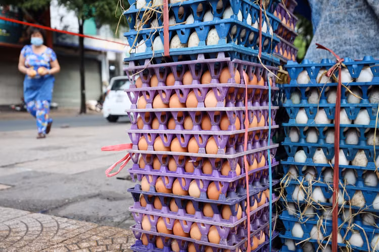 ga xuong gia thap anh 2