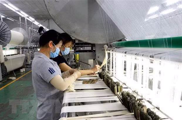 Thi truong lao dong khu vuc phia Nam truoc anh huong cua dich COVID-19 hinh anh 1