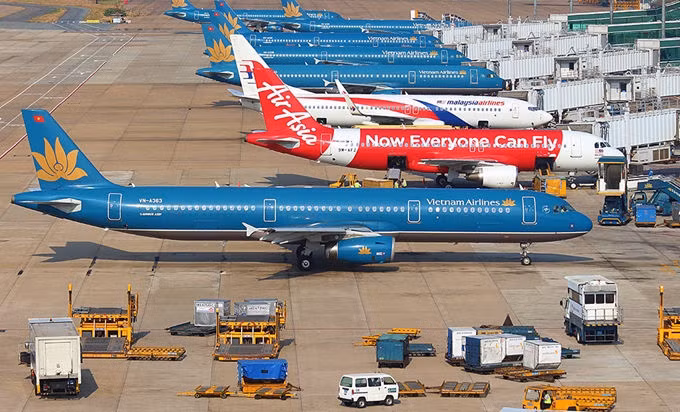 Chó thả rông 'đại náo' sân bay, hàng không khốn khổ - 1