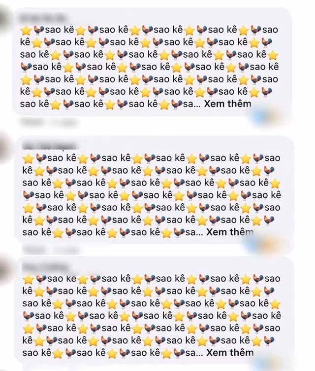 Nghệ sĩ có cần sao kê tài khoản, minh bạch khi làm từ thiện? - Ảnh 3.