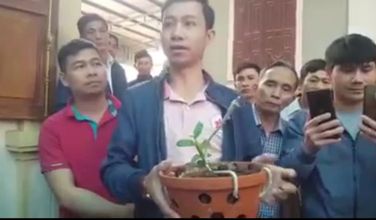 Xôn xao thông tin cây lan hồng bồng lai 7cm giá hơn 1,6 tỷ đồng - 1